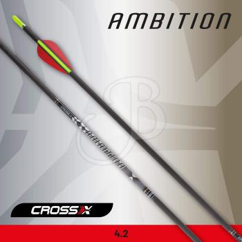 Pfeil Ambition