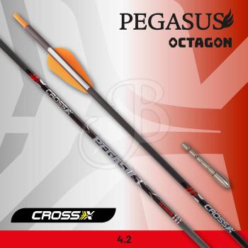 Pfeil Pegasus Octagon